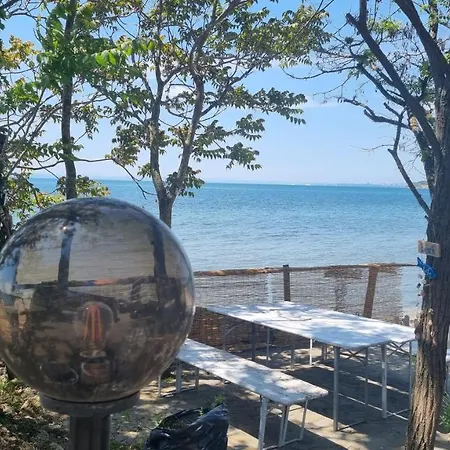 Vilmar Pomorie